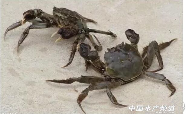 微信小程序 日期選擇_微信小程序地址選擇_微信小程序地區選擇器