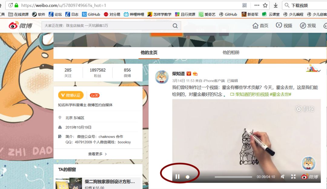 網頁上的視頻播放器_視頻網頁器播放上限怎么辦_視頻網頁器播放上限怎么調