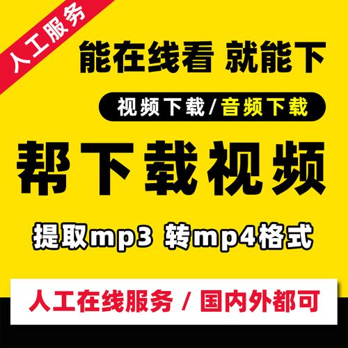 網頁上的視頻播放器_視頻網頁器播放上限怎么辦_視頻網頁器播放上限怎么調