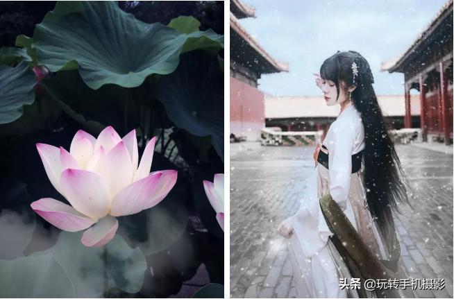 表情制作app哪個好_表情制作的軟件_表情制作app哪個最好用